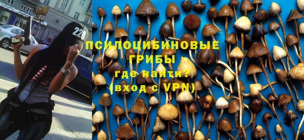 молекула духа Корсаков