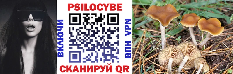 Галлюциногенные грибы ЛСД  Купить где  Кулебаки 